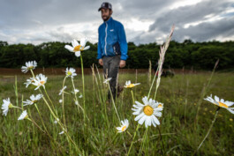 David Sepeau Photographe Bordeaux gironde nouvelle aquitaine France. 