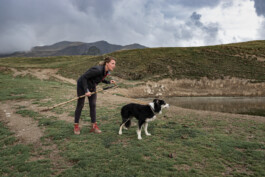 Reportage photo sur la transhumance dans les Hautes Pyrénées