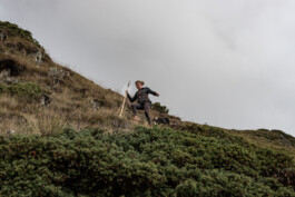 Reportage photo sur la transhumance dans les Hautes Pyrénées