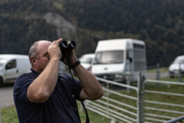 Reportage photo sur la transhumance dans les Hautes Pyrénées