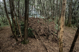 Reportage photo sur un stage de survie avec Denis Tribaudeau 