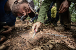 Reportage photo sur un stage de survie avec Denis Tribaudeau 