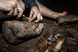 Reportage photo sur un stage de survie avec Denis Tribaudeau 