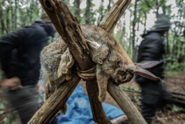 Reportage photo sur un stage de survie avec Denis Tribaudeau 
