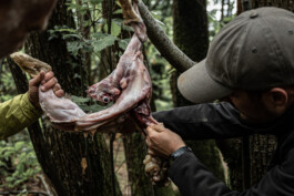 Reportage photo sur un stage de survie avec Denis Tribaudeau 