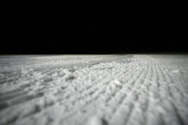 David Sepeau Photographe Bordeaux gironde nouvelle aquitaine France.