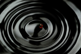 David Sepeau Photographe d'art Bordeaux gironde nouvelle aquitaine France. 