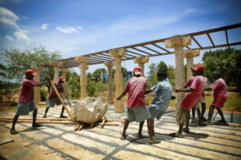 David Sepeau Photographe portrait Bordeaux gironde nouvelle aquitaine France. 