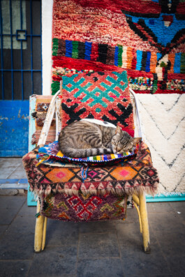 David Sepeau Photographe Bordeaux gironde nouvelle aquitaine France.