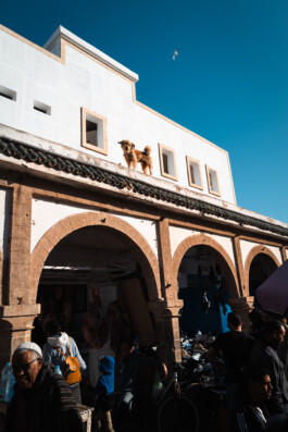 David Sepeau Photographe Bordeaux gironde nouvelle aquitaine France.