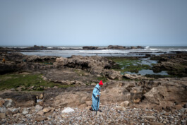 David Sepeau Photographe Bordeaux gironde nouvelle aquitaine France.