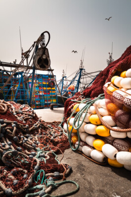 David Sepeau Photographe Bordeaux gironde nouvelle aquitaine France.