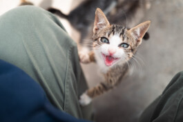 David Sepeau Photographe Bordeaux gironde nouvelle aquitaine France.