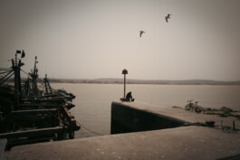 David Sepeau Photographe Bordeaux gironde nouvelle aquitaine France.