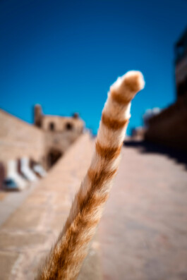 David Sepeau Photographe Bordeaux gironde nouvelle aquitaine France.