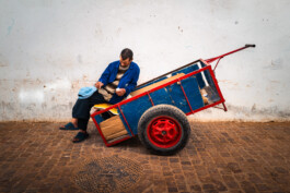 David Sepeau Photographe Bordeaux gironde nouvelle aquitaine France.