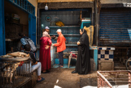 David Sepeau Photographe Bordeaux gironde nouvelle aquitaine France.