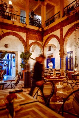 David Sepeau Photographe Bordeaux gironde nouvelle aquitaine France.