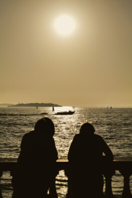 David Sepeau Photographe Bordeaux gironde nouvelle aquitaine France.