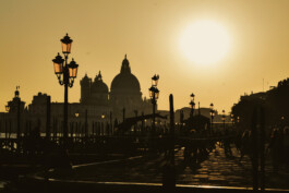 David Sepeau Photographe Bordeaux gironde nouvelle aquitaine France.