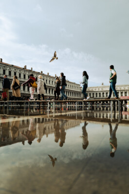 David Sepeau Photographe Bordeaux gironde nouvelle aquitaine France.