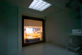 David Sepeau Photographe Bordeaux gironde nouvelle aquitaine France.