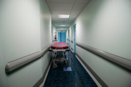 David Sepeau Photographe Bordeaux gironde nouvelle aquitaine France.