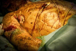 David Sepeau Photographe Bordeaux gironde nouvelle aquitaine France.