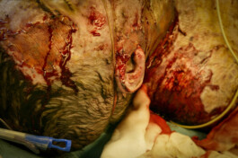 David Sepeau Photographe Bordeaux gironde nouvelle aquitaine France.