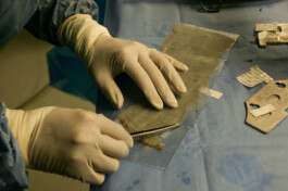 David Sepeau Photographe Bordeaux gironde nouvelle aquitaine France.