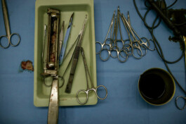 David Sepeau Photographe Bordeaux gironde nouvelle aquitaine France.