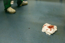 David Sepeau Photographe Bordeaux gironde nouvelle aquitaine France.