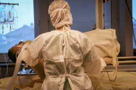 David Sepeau Photographe Bordeaux gironde nouvelle aquitaine France.