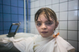 David Sepeau Photographe Bordeaux gironde nouvelle aquitaine France. 