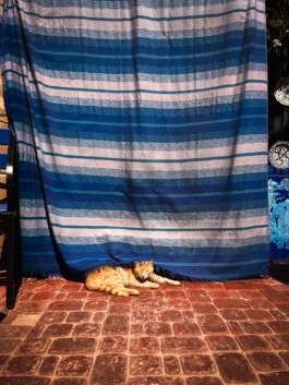 David Sepeau Photographe Bordeaux gironde nouvelle aquitaine France.