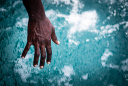 David Sepeau Photographe Bordeaux gironde nouvelle aquitaine France. 