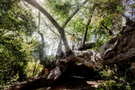 David Sepeau Photographe Bordeaux gironde nouvelle aquitaine France. 