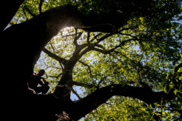 David Sepeau Photographe Bordeaux gironde nouvelle aquitaine France. 