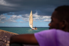 David Sepeau Photographe Bordeaux gironde nouvelle aquitaine France. 
