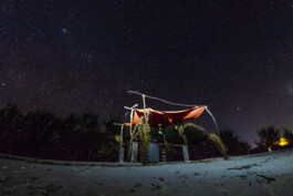 David Sepeau Photographe Bordeaux gironde nouvelle aquitaine France. 