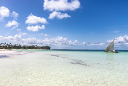 David Sepeau Photographe Bordeaux gironde nouvelle aquitaine France. 