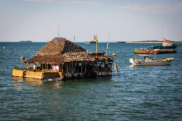 David Sepeau Photographe Bordeaux gironde nouvelle aquitaine France. 