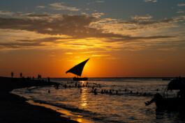 David Sepeau Photographe Bordeaux gironde nouvelle aquitaine France. 