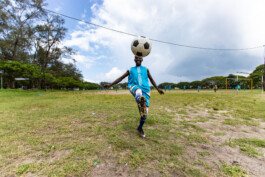 David Sepeau Photographe Bordeaux gironde nouvelle aquitaine France. 