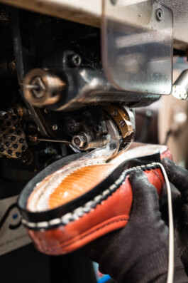 David Sepeau Photographe Bordeaux gironde nouvelle aquitaine France.