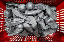 David Sepeau Photographe Bordeaux gironde nouvelle aquitaine France.