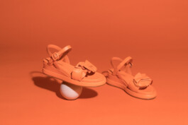 David Sepeau Photographe Bordeaux gironde nouvelle aquitaine France. 