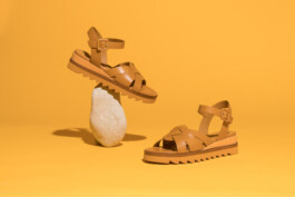 David Sepeau Photographe Bordeaux gironde nouvelle aquitaine France. 