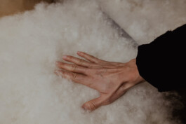 David Sepeau Photographe Bordeaux gironde nouvelle aquitaine France.