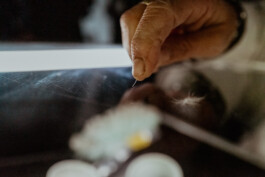 David Sepeau Photographe Bordeaux gironde nouvelle aquitaine France.